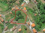 AEREA-CERDEIRA-Cópia