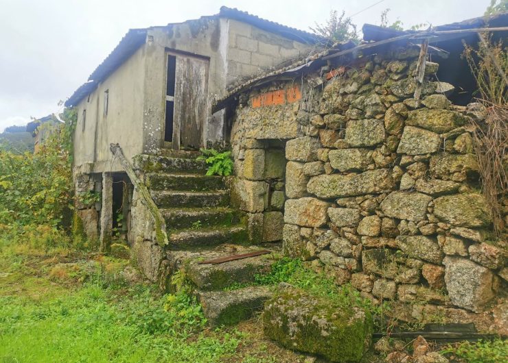 cerdeira12-Cópia