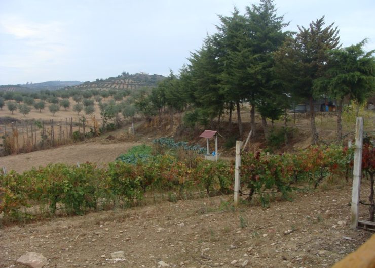 DSC01439
