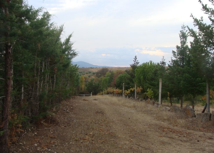 DSC01448
