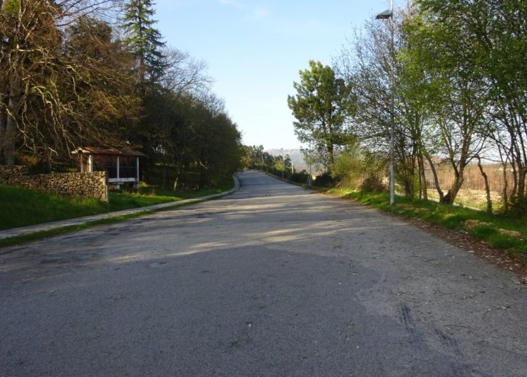 DSC02488-1