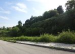 DSC02923-1