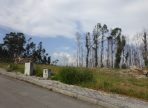 DSC02968-1