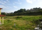 DSC02975-2