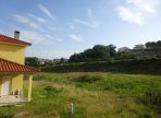 DSC02976-2