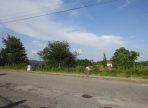 DSC03006