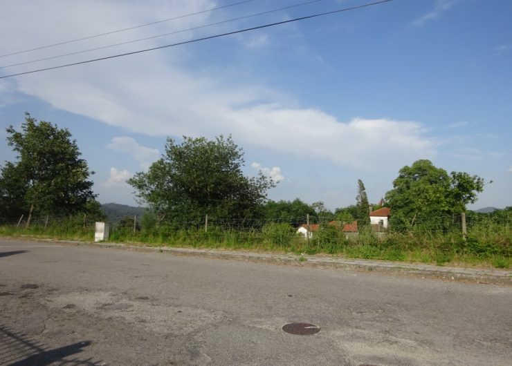 DSC03006