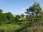 DSC03011-1