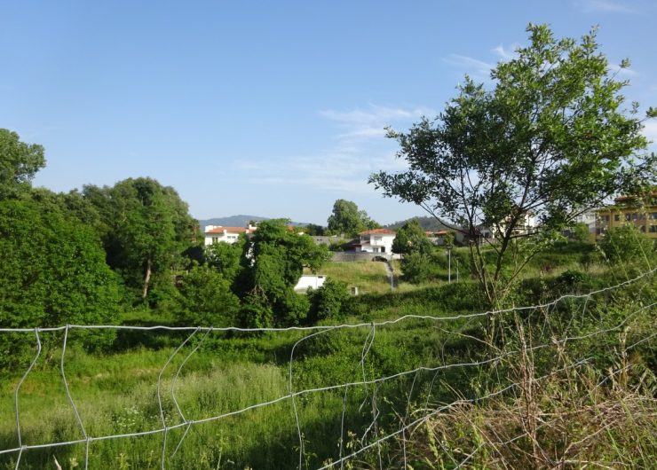 DSC03011-1
