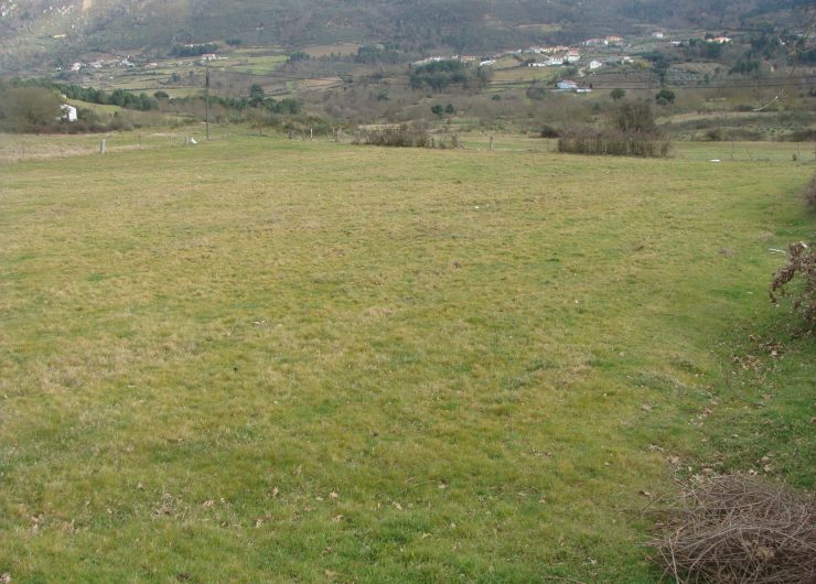 DSC06772