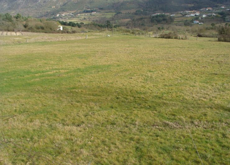 DSC06779