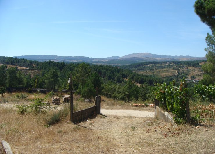 DSC07728