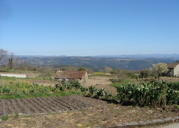 DSC08578