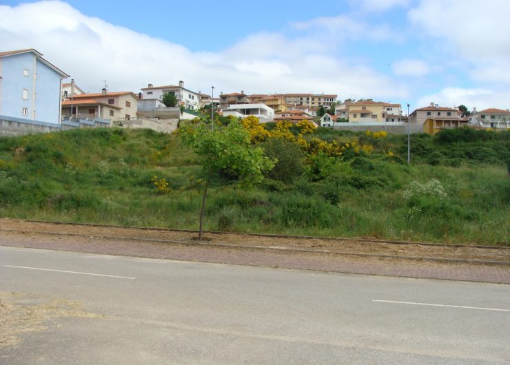 DSC08758