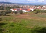 IMAG0746