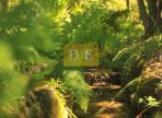 IMG-20250122-WA0033-2