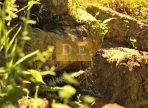 IMG-20250122-WA0035-2