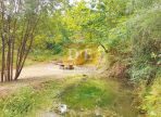 IMG-20250122-WA0037-2
