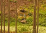 IMG-20250122-WA0038-3