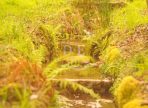 IMG-20250122-WA0042-2
