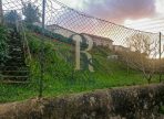 Imagem-1-1