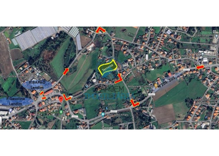 terrea-15