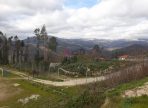 20190312_145553