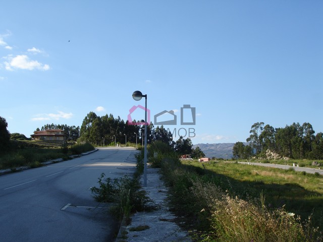 DSC02166-Copiar