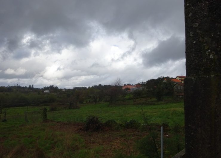 DSC02564