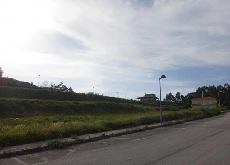 DSC02964-5