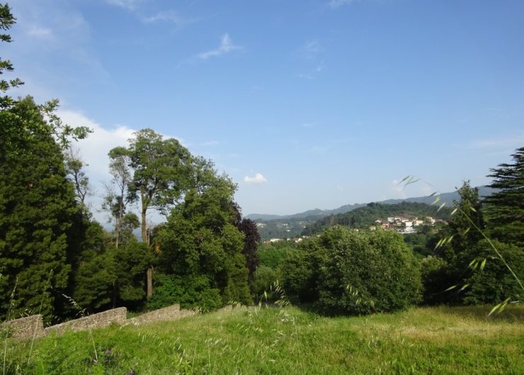 DSC03001