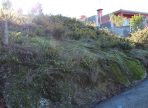 IMG_9341