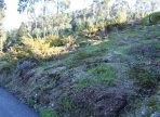 IMG_9343