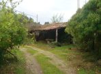 DSC01767