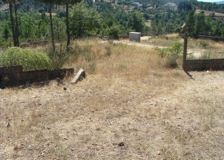 DSC07726