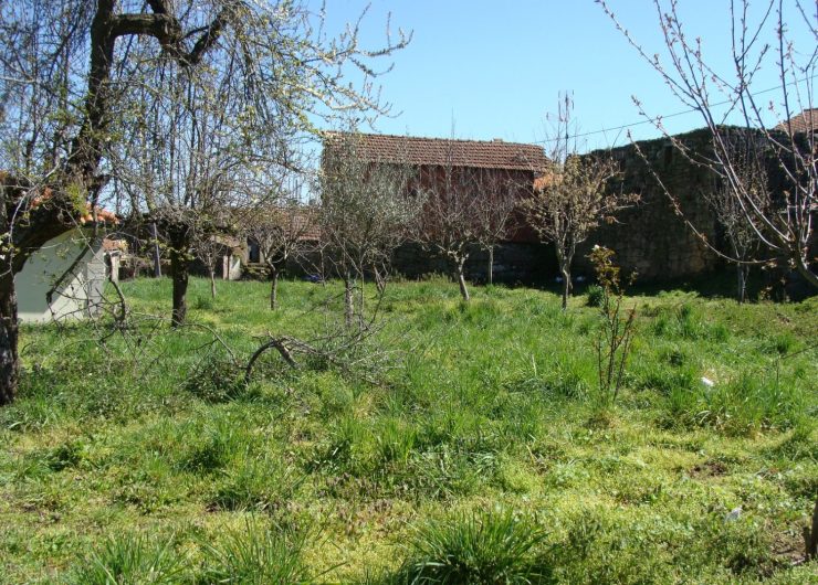 DSC08565