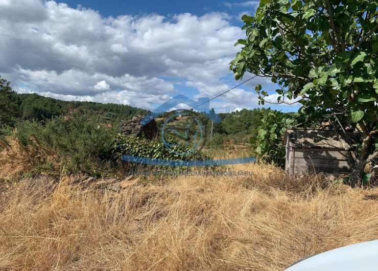 117399363_657728648434996_855217256889520938_n-1600x1200