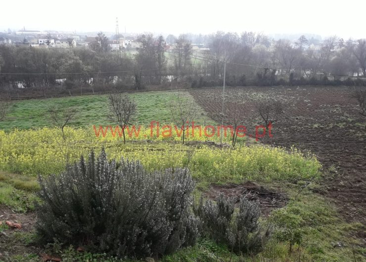 20200215_094426-1600x1200