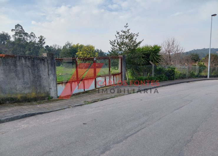 20240130_150121-1600x1200