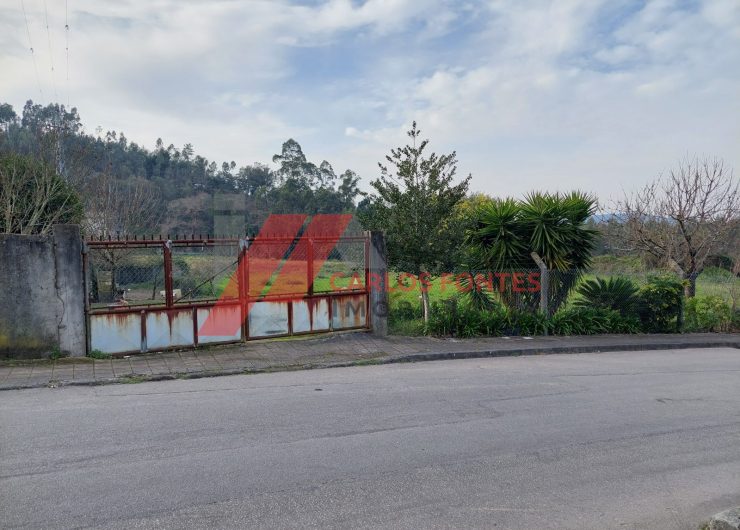 20240130_150139-1600x1200