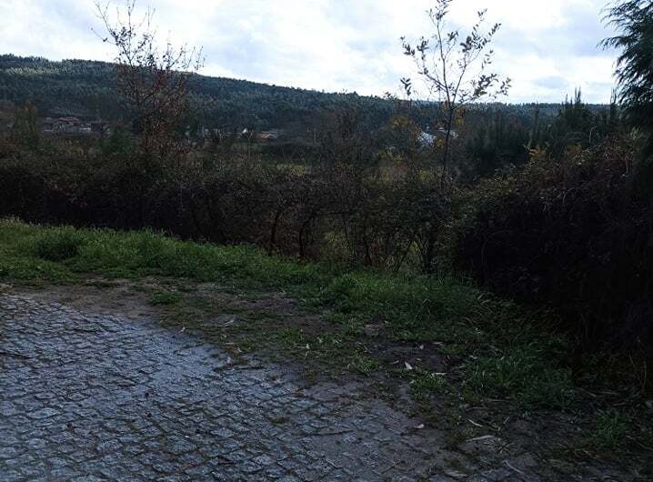 274861702_262793346047165_486277579995115261_n-1