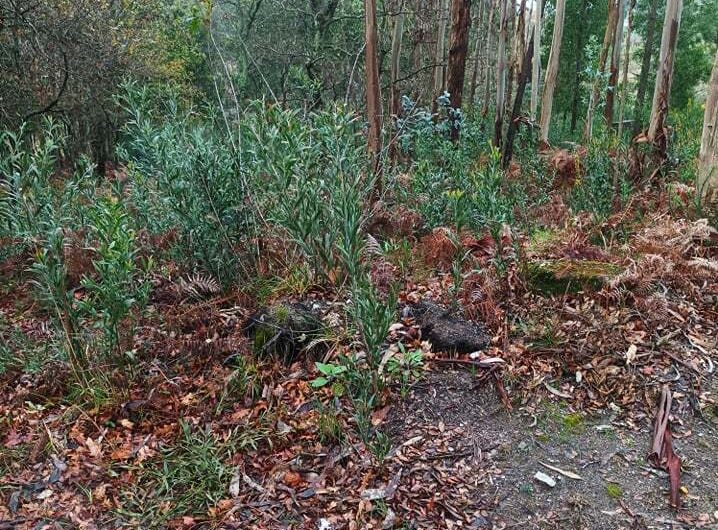 275426750_632491621148219_364907897317538195_n-1