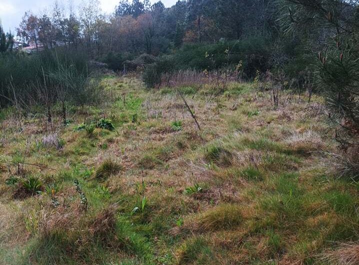 275430959_456493366207228_2055475944458125712_n-1