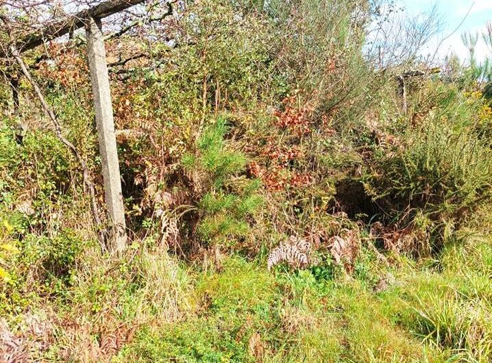 275430974_368867185086425_6302587242312549678_n-1