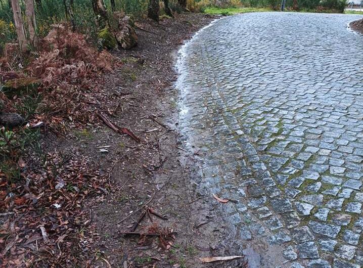 275460746_1348316508963186_1583476505164337004_n-1