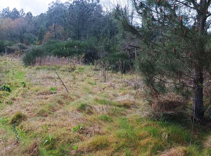 275523193_3099618636983815_2321000757766509296_n-1