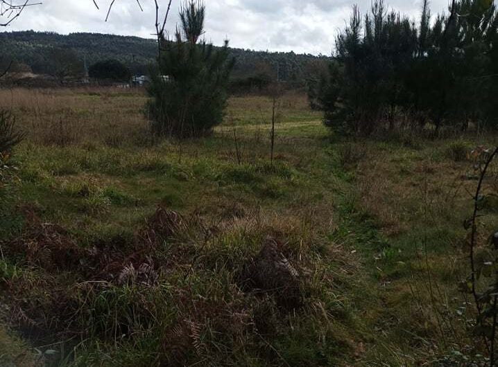 275550392_985631218743368_3805946231043456875_n-1