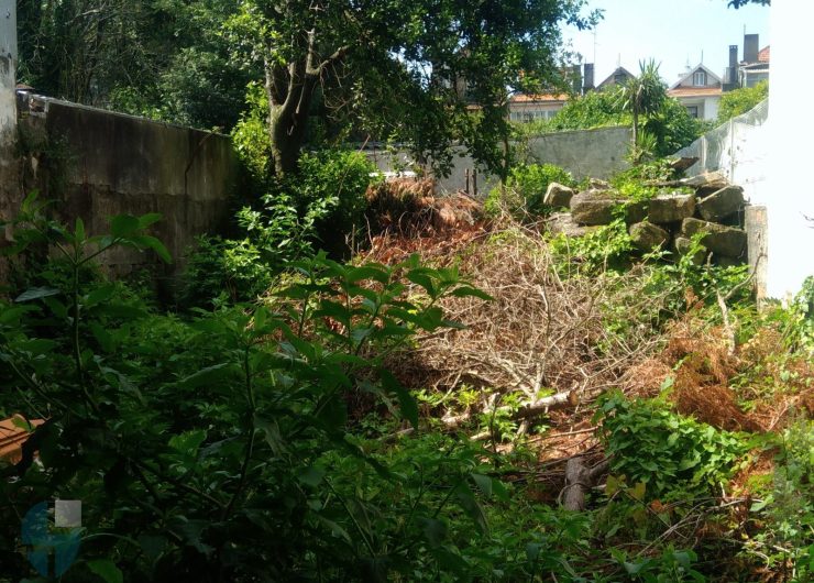 Boavista-20-1-1600x1200