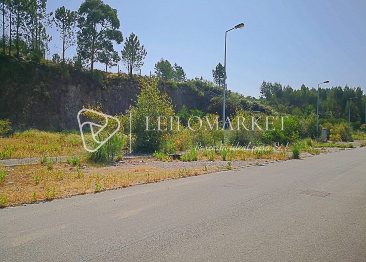 IMG_20190724_112159-1600x1200