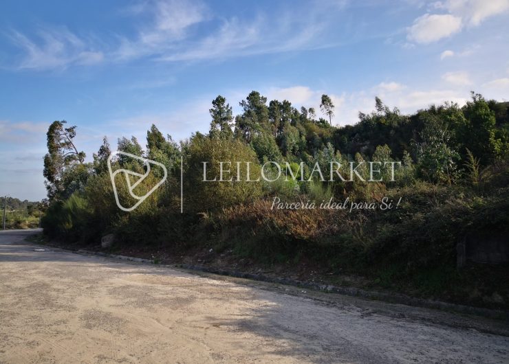 IMG_20221018_101737-1600x1200